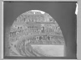 Coliseum