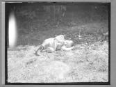 Child Resting at Roadside Field