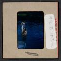 [Peggy and Mimi Muray swimming (travel slide)]