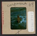 [Nicholas Christopher Muray on a beach (travel slide)]