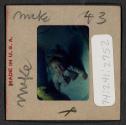 [Mimi Muray (travel slide)]
