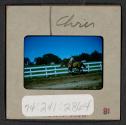 [Nicholas Christopher Muray horseback riding (travel slide)]