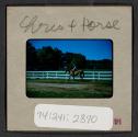 [Nicholas Christopher Muray horseback riding (travel slide)]