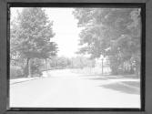 Flower Ave.