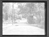 [Residential Street]