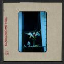 [George the cat with a bouquet of flowers in a vase (travel slide)]