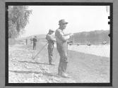 [Fisherman Pulling in Nets]