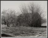 Folly, Easter Morning