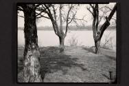 Shiloh, Tennessee