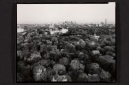 View of Harvard Area east toward Boston