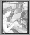 [Woman Sewing]
