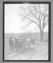 [Several Horse Drawn Wagons in Field]