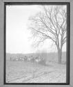 [Men with Wagons, Horses in Field]
