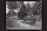 Picnic Area, Tennis Club of Albuquerque