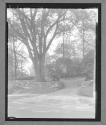 Park Sign: John Wm. Draper Memorial Park