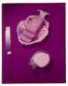 [Fish dish]
