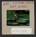 [Peggy Muray seated next to a pond, Kandy, Sri Lanka (travel slide)]