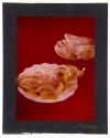 [Turnovers (Sara Lee)]