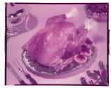 [Cooked turkey]