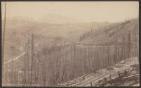 Marshall Pass and Mt. Ouray