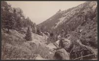 Pike's Peak Trail