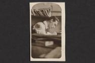 Nickolas Muray