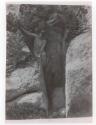 [Nude by tree]