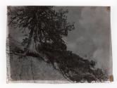 [The Dryads]