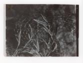 [Spider web]