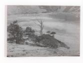 [Northwind, tree]