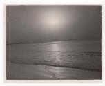 [Beach landscape]