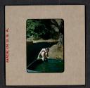 [Mimi Muray playing in a pool (travel slide)]