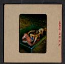 [Mimi and Nicholas Christopher Muray playing in a pool (travel slide)]