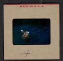 [Mimi Muray and others swimming (travel slide)]