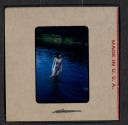 [Peggy Muray swimming (travel slide)]
