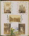 Carlisle Cathedral, York Minister, Alnwick Castle, Birkwood