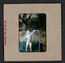 [Mimi Muray playing in a pool (travel slide)]