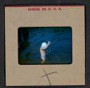 [Mimi Muray swimming (travel slide)]