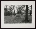 Untitled (Illinois)