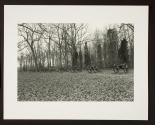Untitled (row of cannons)