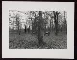 Untitled (twin cannons)
