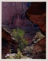 Coyote Gulch, Escalante River