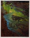 Green reflections in stream, Moqui Creek, Glen Canyon