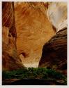 Amphitheater, Davis Gulch, Escalante basin