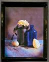 [Still life]