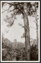 Lynching of Unidentified African American Man, 1928