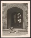 [Dog lying in front of door]