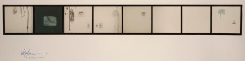Image Garden