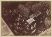 Fish Market, Tangier
