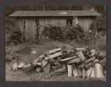 Wildcat Hill. Edward Weston, Nancy Newhall, Charis Weston